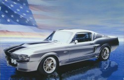 Shelby GT 500