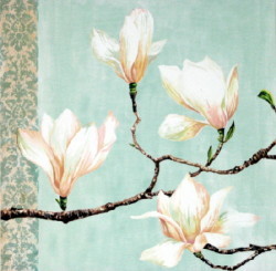 Magnolias On Turqui