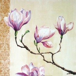 Magnolias On Pink