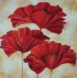 Three Poppies II by Nicola Rabbett