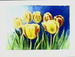 Tulips by Edith Wessel