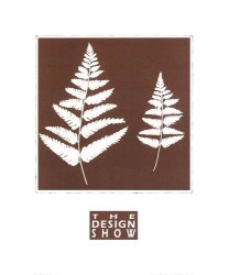 Mocca Ferns II by Design Show