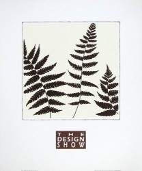 Mocca Ferns III by Design Show