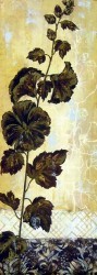 Hollyhock Silhouette by Ferri Stefania