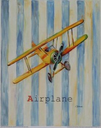 Airplane by Catherine Richards