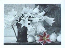 Lilies in Jug by Milano 