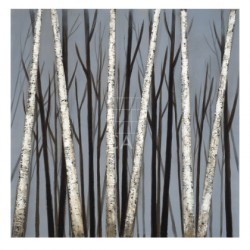 Birch Shadows by Eve