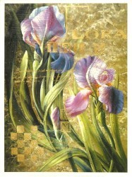 Iris Romance by Meng