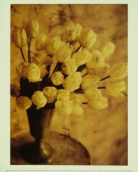 Antique Tulips II by Thea Schrack