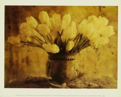 Antique Tulips III by Thea Schrack