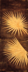 Fan Palm Triptych by David Parks 