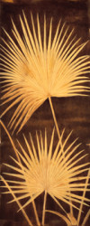 Fan Palm Triptych by David Parks 