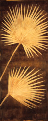 Fan Palm Triptych by David Parks 