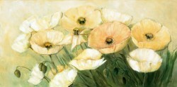 Tender Poppies by Elizabeth Krobbs