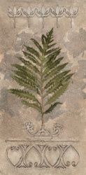 Embossed Fern I by Merri Pattinian