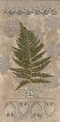 Embossed Fern II by Merri Pattinian