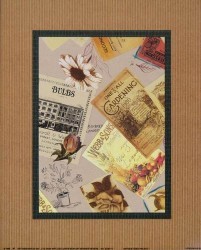 Antique Seed Packet I