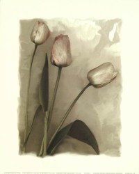 Tulips I