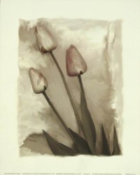 Tulips II by Richard Sutton