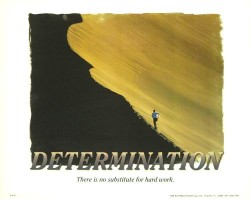 Determination