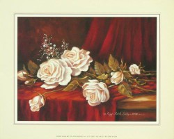 White Roses on Velvet