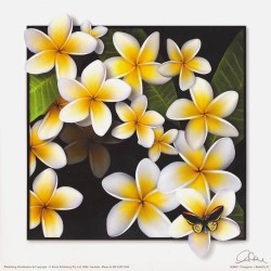 Frangipani + Butterfly #1