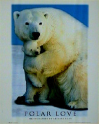 Polar Love by Richard Egan