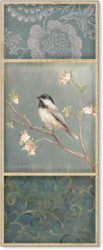 Black Capped Chickadee by Danhui Nai